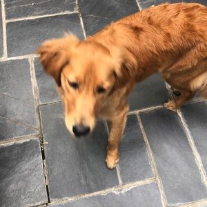 Meet your Posher, Alanna